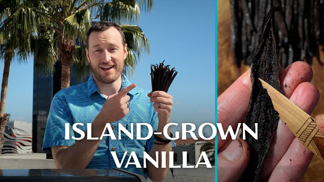 Building a Vanilla Business from Scratch on a Remote Island | Episode 0